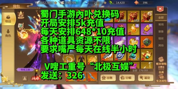 蜀门私服手游全攻略，新手入门与高手进阶秘籍大揭秘