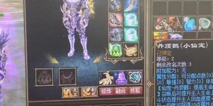 蜀门私服架设指南，全面教程与实战攻略